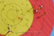 Tir handisport